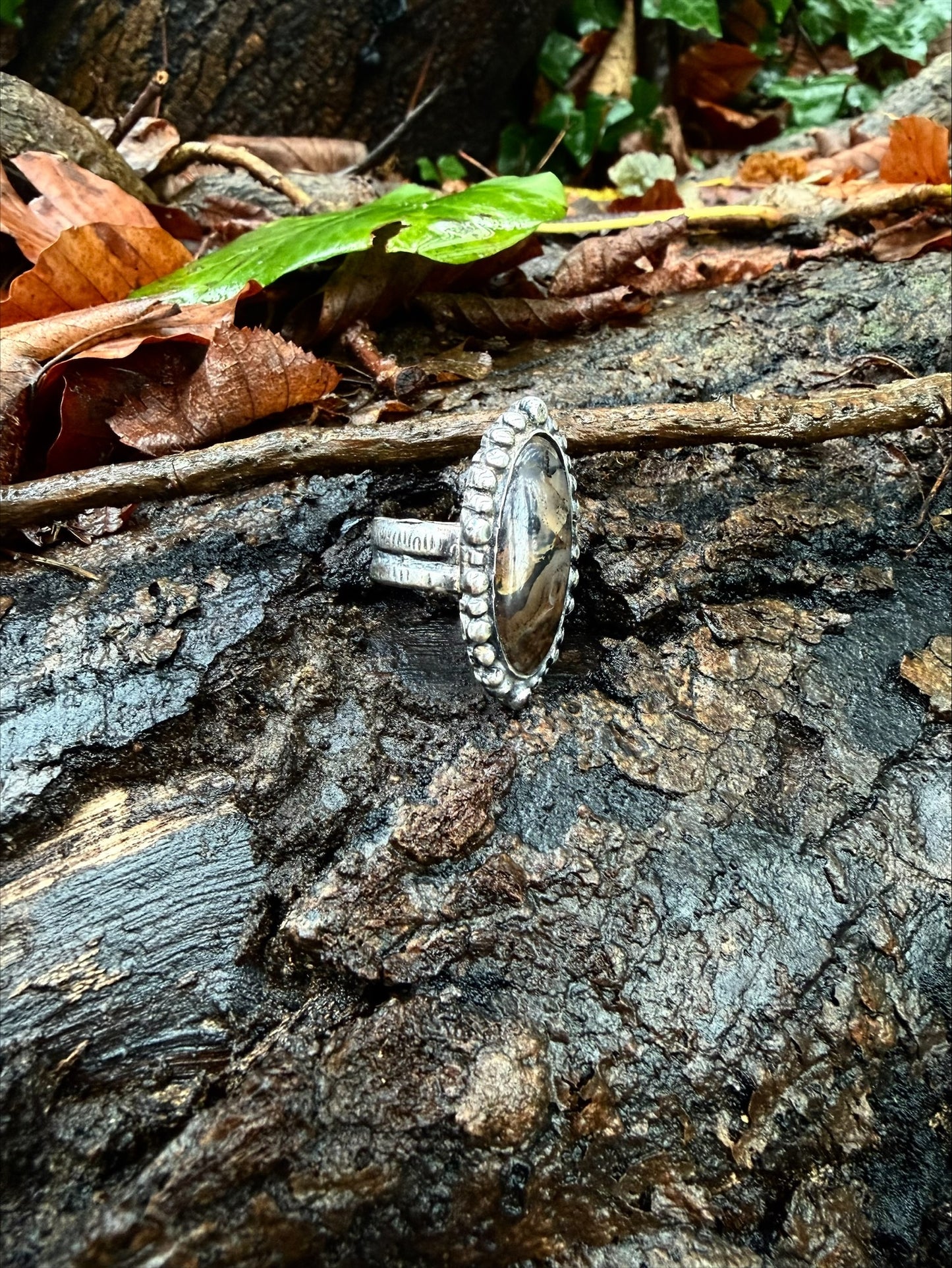 Bague à Agate du Montana