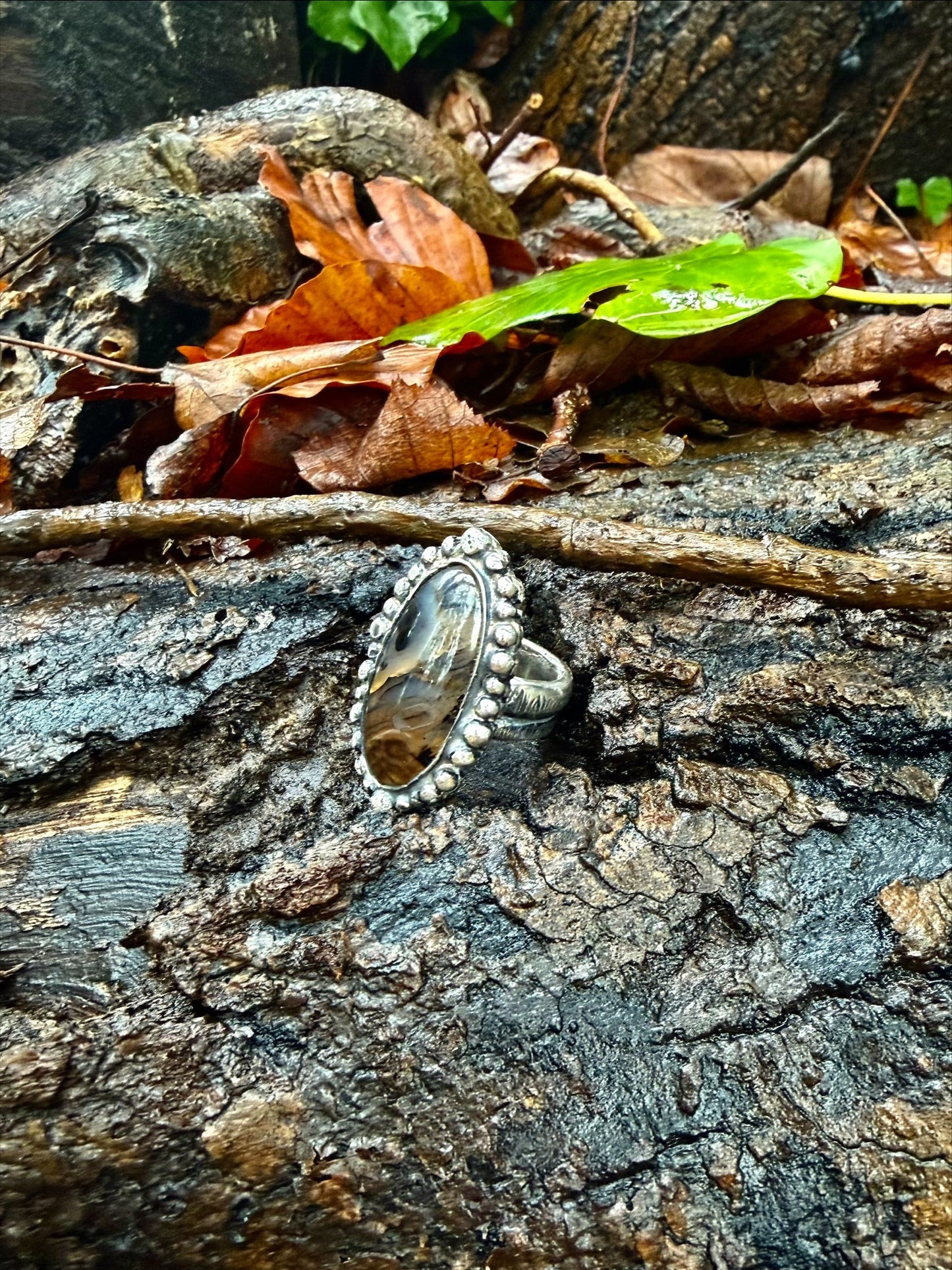 Bague à Agate du Montana